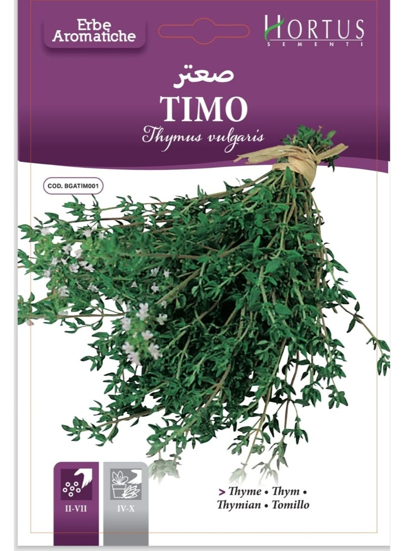 Thyme seeds